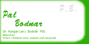 pal bodnar business card